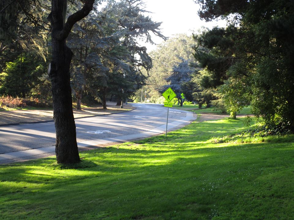 44384167_10217276947382025_2874917976841125888_n