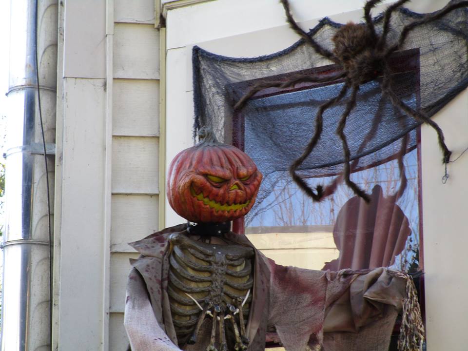 44393562_10217276939661832_2711010634572496896_n