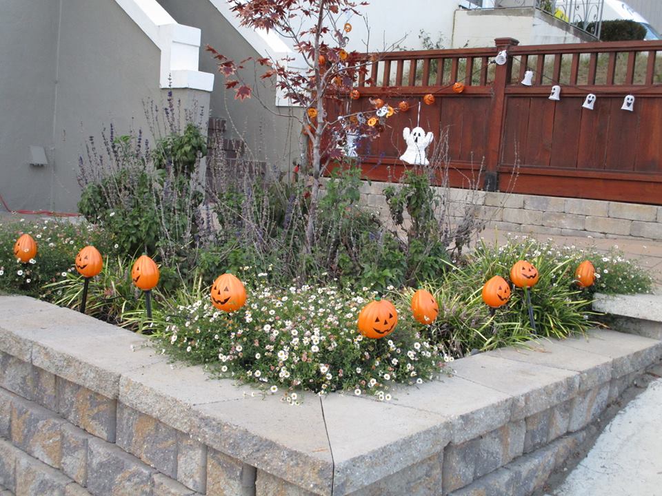 44395348_10217276975582730_4419524693363523584_n