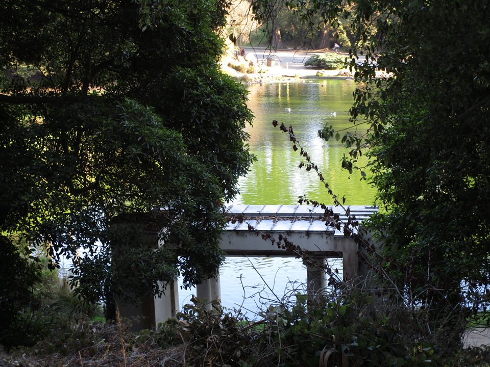 44407242_10217276948222046_8721484479589253120_n