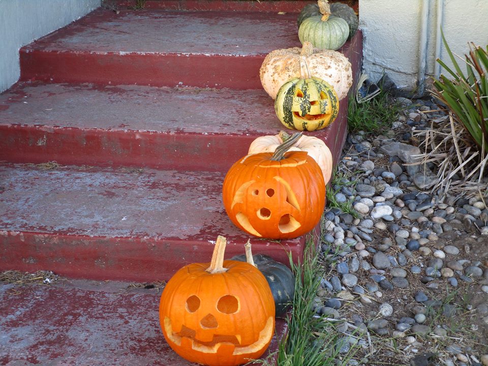 44425151_10217276967862537_5360449094730907648_n