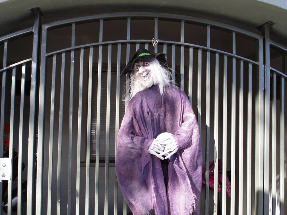 44443605_10217276991143119_3922554152097415168_n