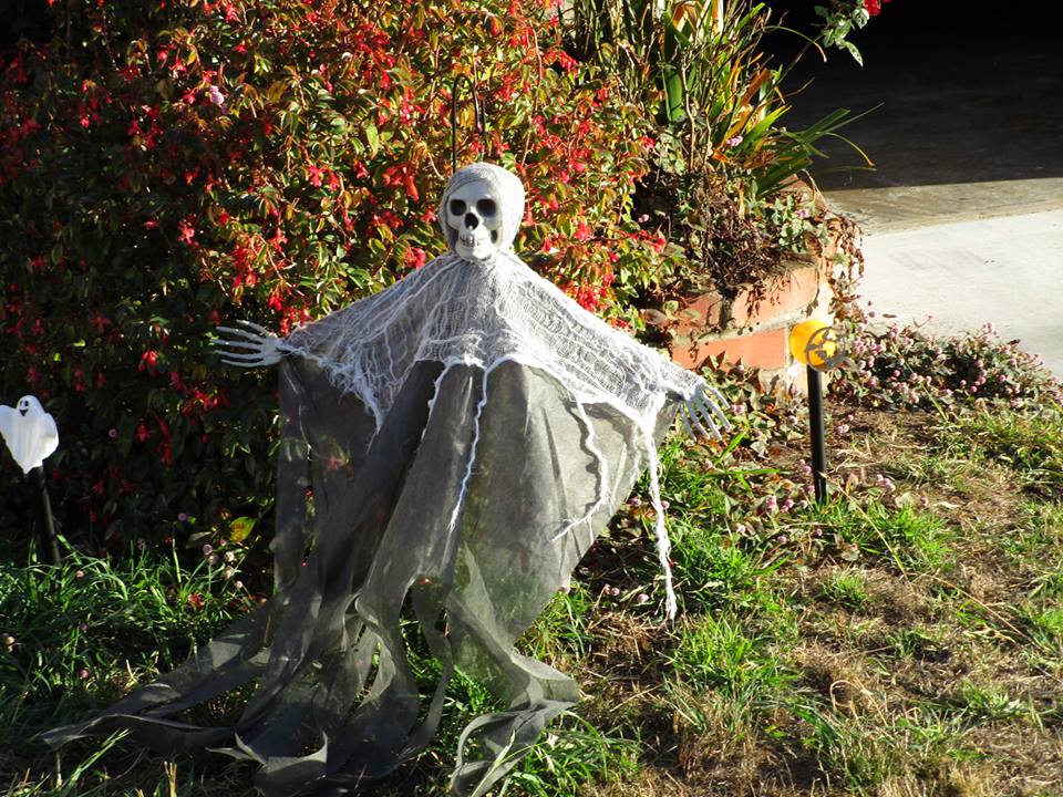 44455653_10217277029144069_7002378245467275264_n