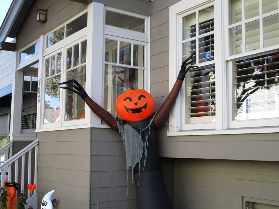 44459129_10217276942221896_2126255200908869632_n