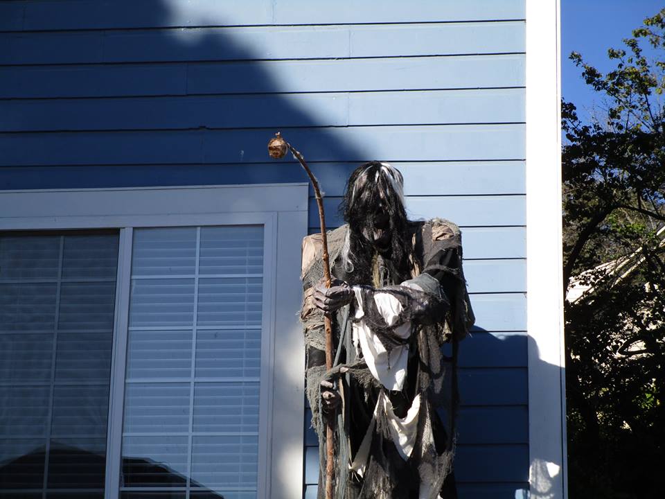 44464598_10217276939341824_605720350151409664_n