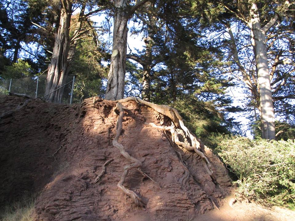 44474988_10217276946662007_1487591824531914752_n