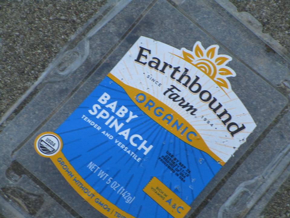 44808475_10217331079935305_2020759044498653184_n