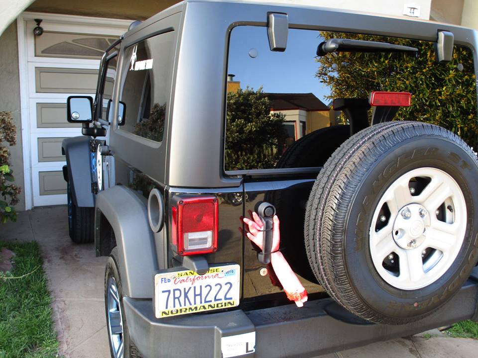 44815435_10217331083655398_8239937346271707136_n