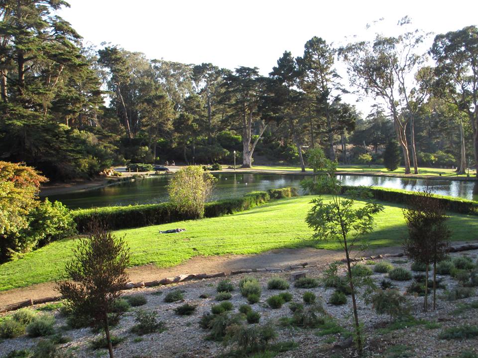 44816818_10217331076215212_4900025383669202944_n