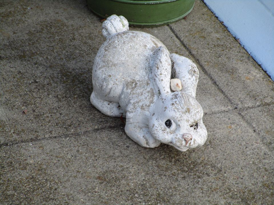 44825394_10217331032894129_891869840418013184_n