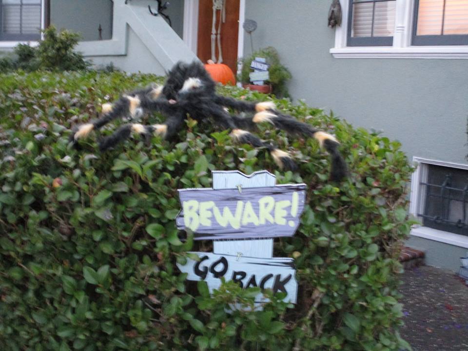 44827966_10217331016933730_2351733128453685248_n