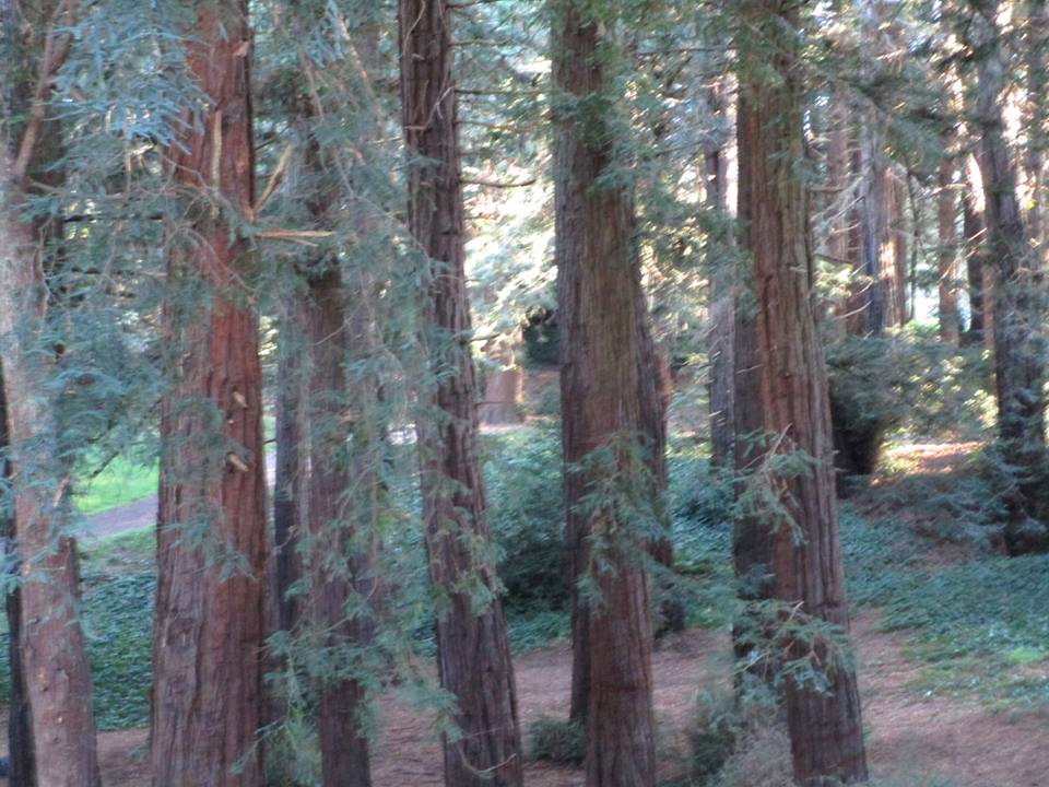 44827999_10217331034374166_4994487803455733760_n