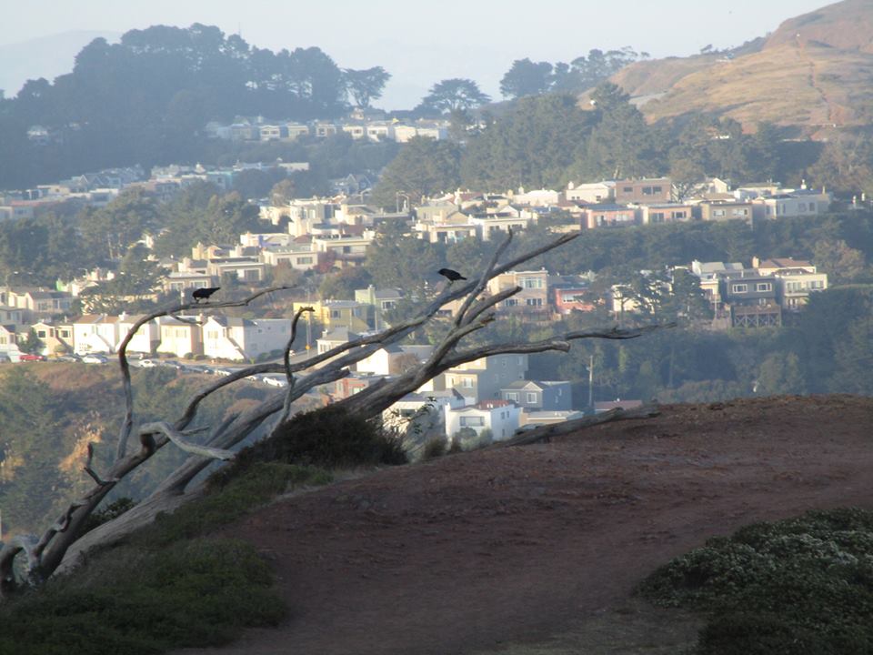 44868716_10217331082735375_3256620675443458048_n