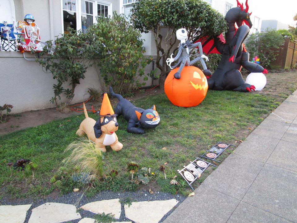 44882424_10217331029574046_796528421214617600_n