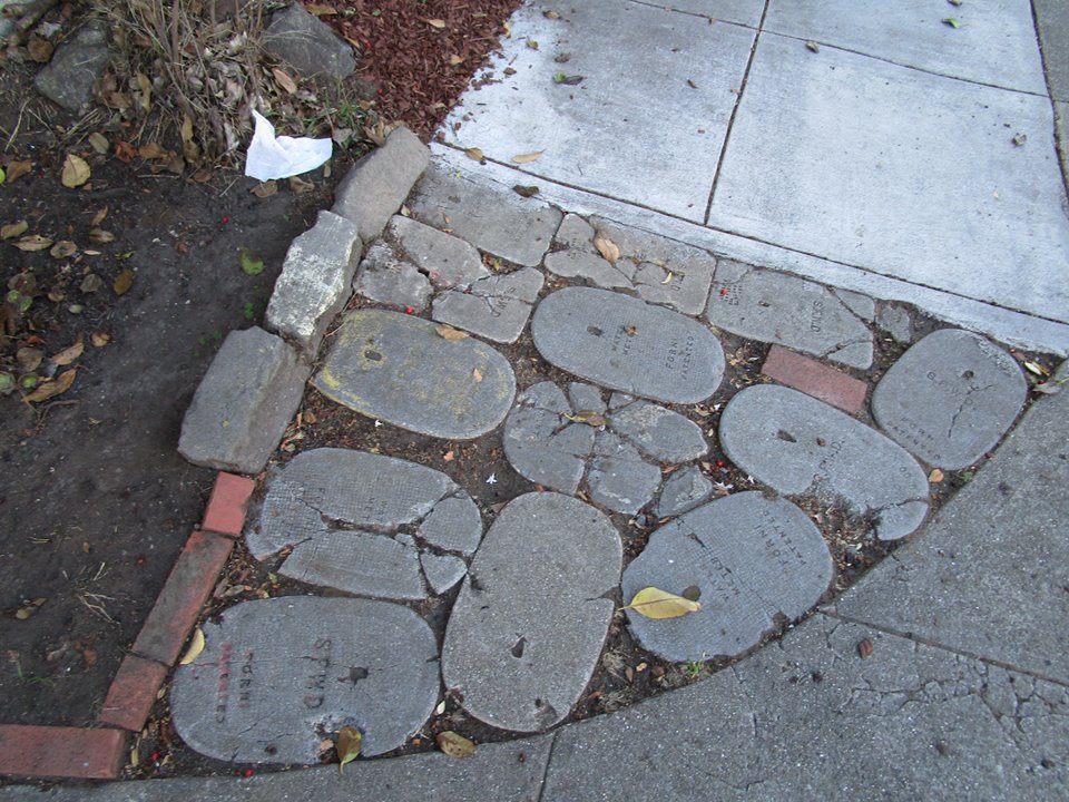 44904974_10217331035134185_9191897485717536768_n