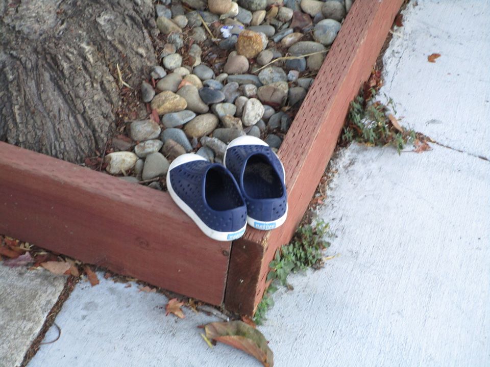 44909882_10217331087135485_6730301812546469888_n