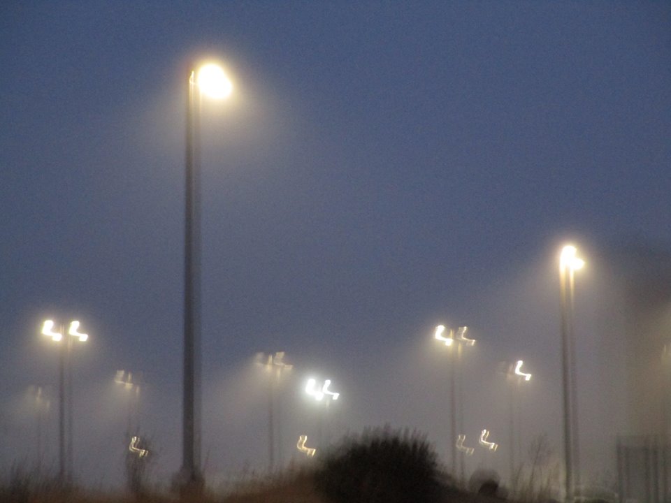 44932803_10217331014573671_2027807678536876032_n