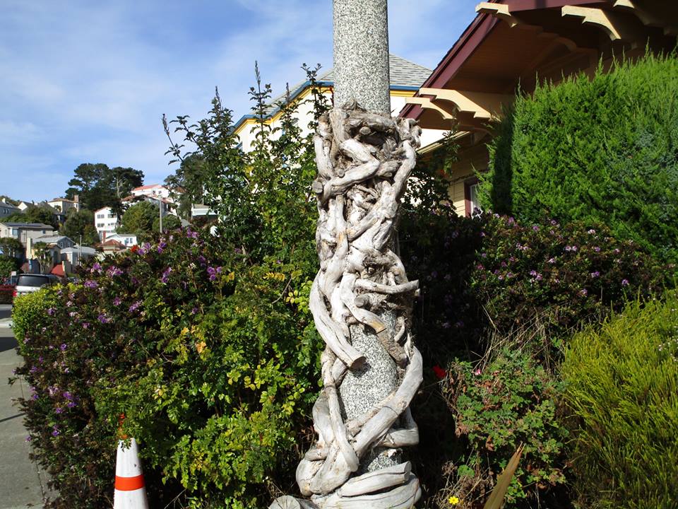 45118423_10217369447534471_6942709999990734848_n