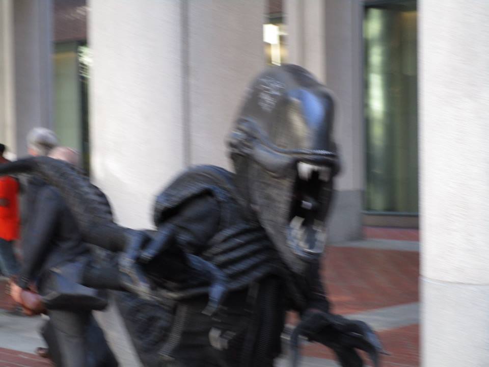 45146064_10217369475055159_6522227427492495360_n