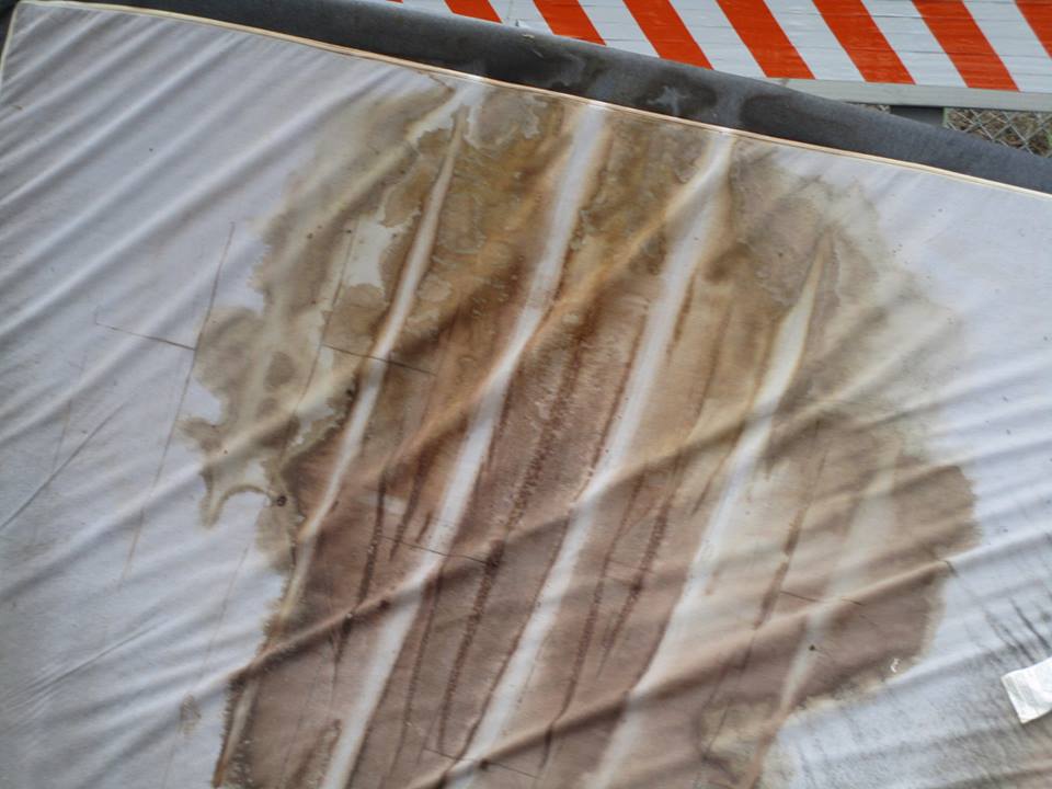 45148765_10217369469255014_5592383732511145984_n