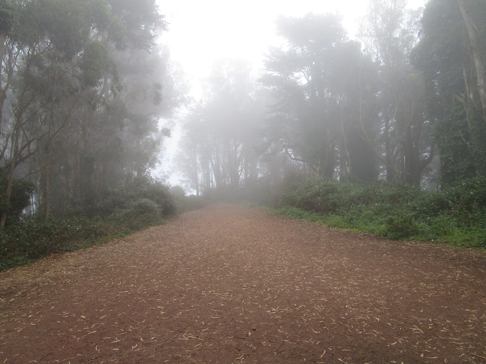 45217976_10217369463654874_3333392691873447936_n