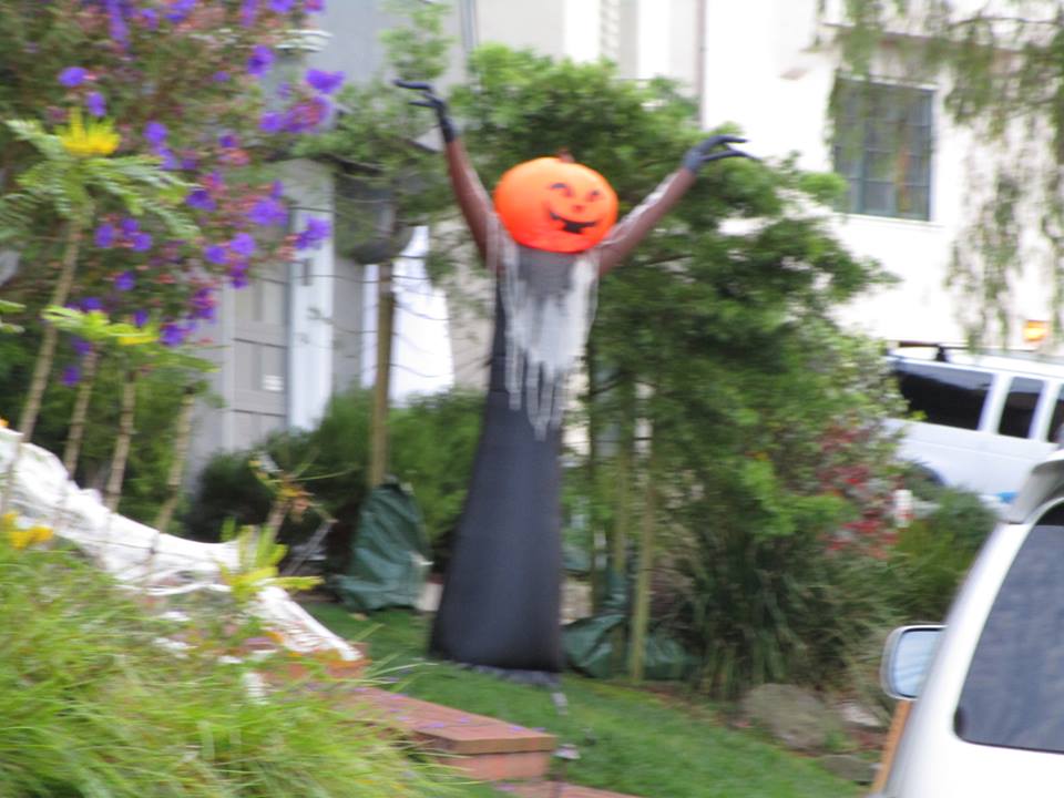 45348747_10217406368977484_1320443723280023552_n