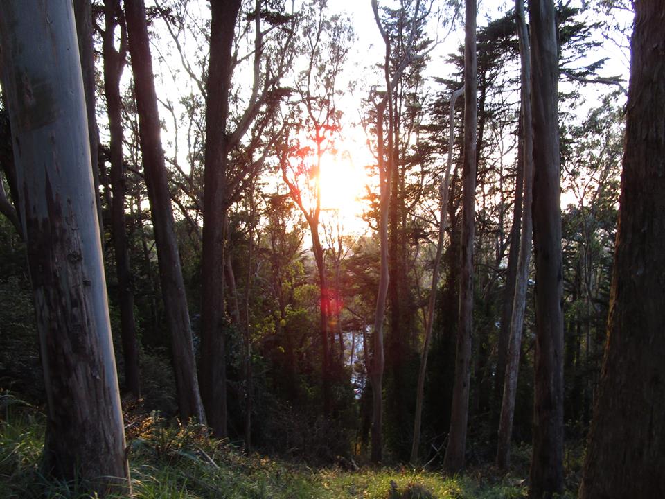 45417421_10217406340136763_5360922614875291648_n