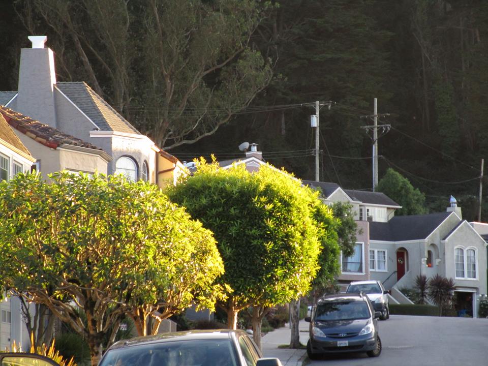 45447462_10217406345576899_4866232486494994432_n