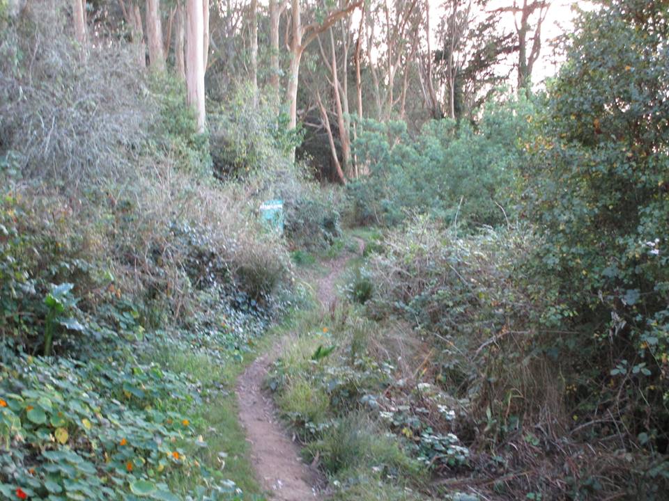 45464869_10217406344456871_4387590748229337088_n