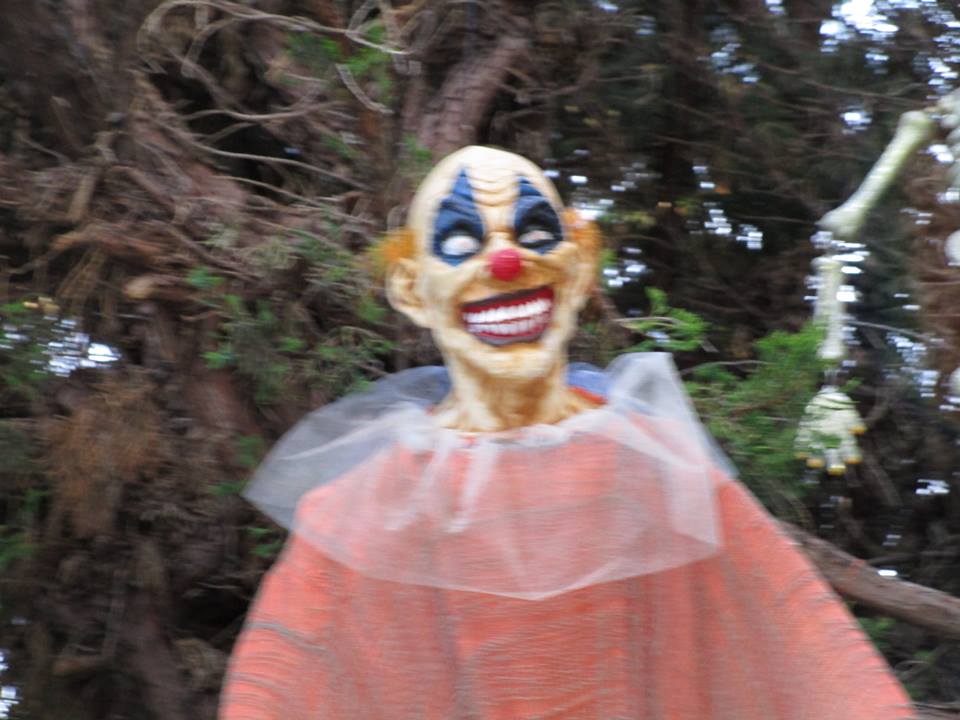 45472859_10217406355617150_1528554804534575104_n