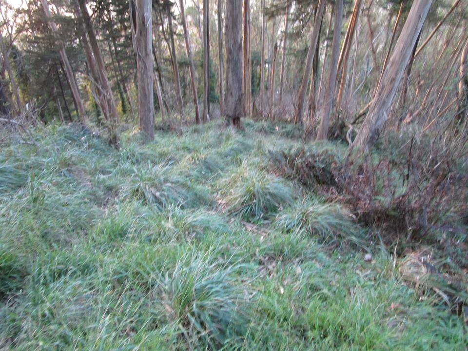 45487213_10217406341776804_3744894126978498560_n