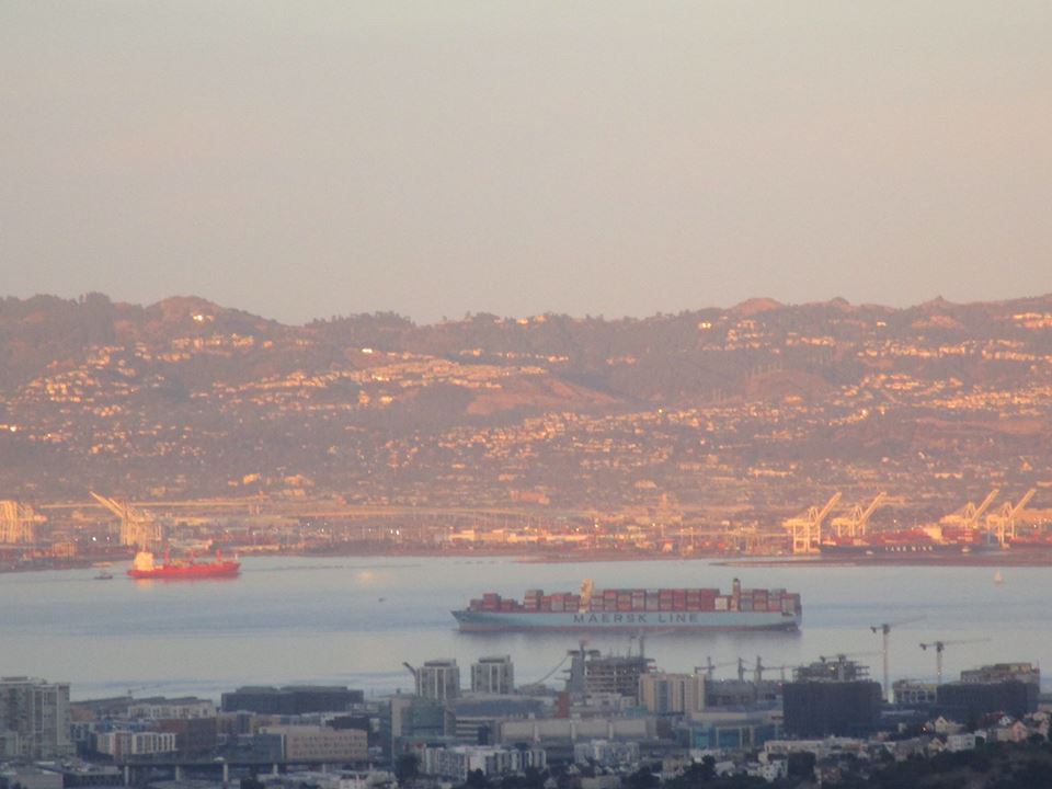 45496084_10217406332496572_8862473395330088960_n