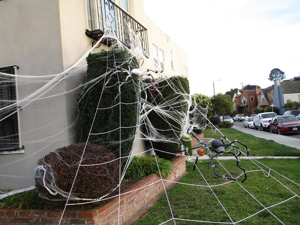 45506198_10217406374137613_7760028249056346112_n