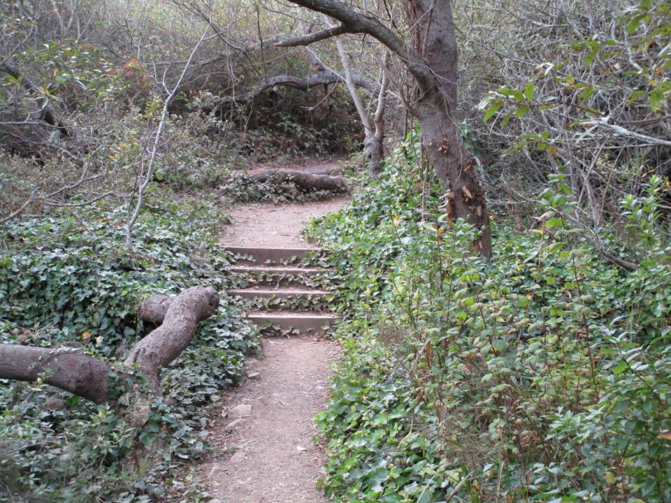 45564535_10217406349897007_2721130513824743424_n