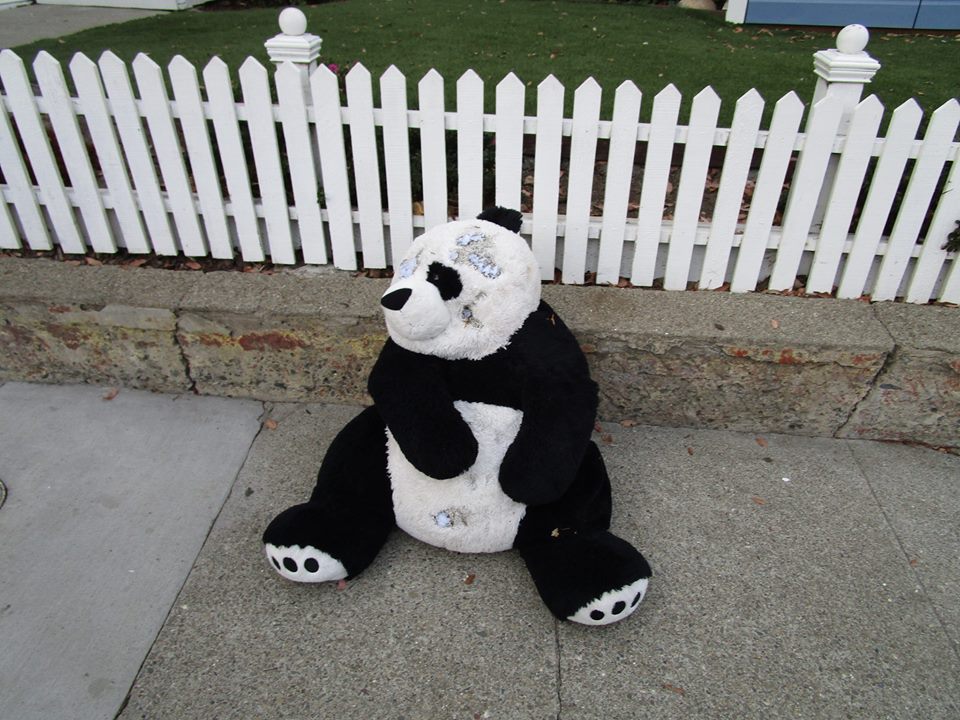 45565114_10217406358177214_2325249166105640960_n