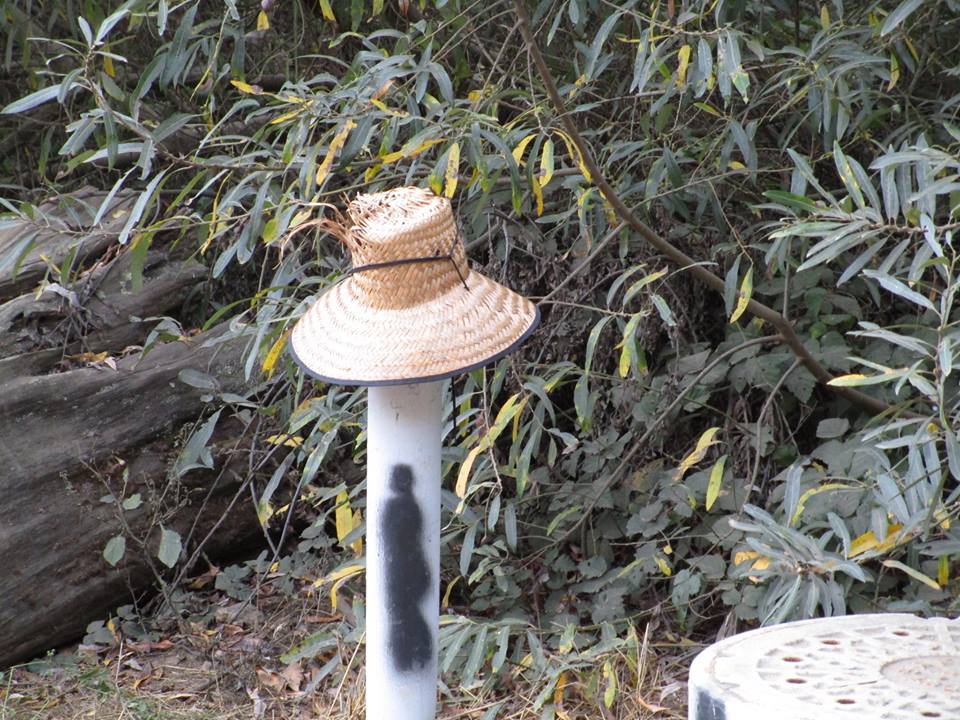 45614112_10217406352737078_8778303001379995648_n