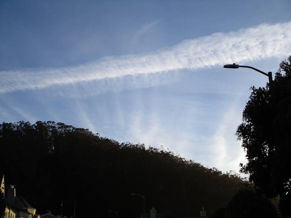 45626271_10217406319016235_7766988844854935552_n