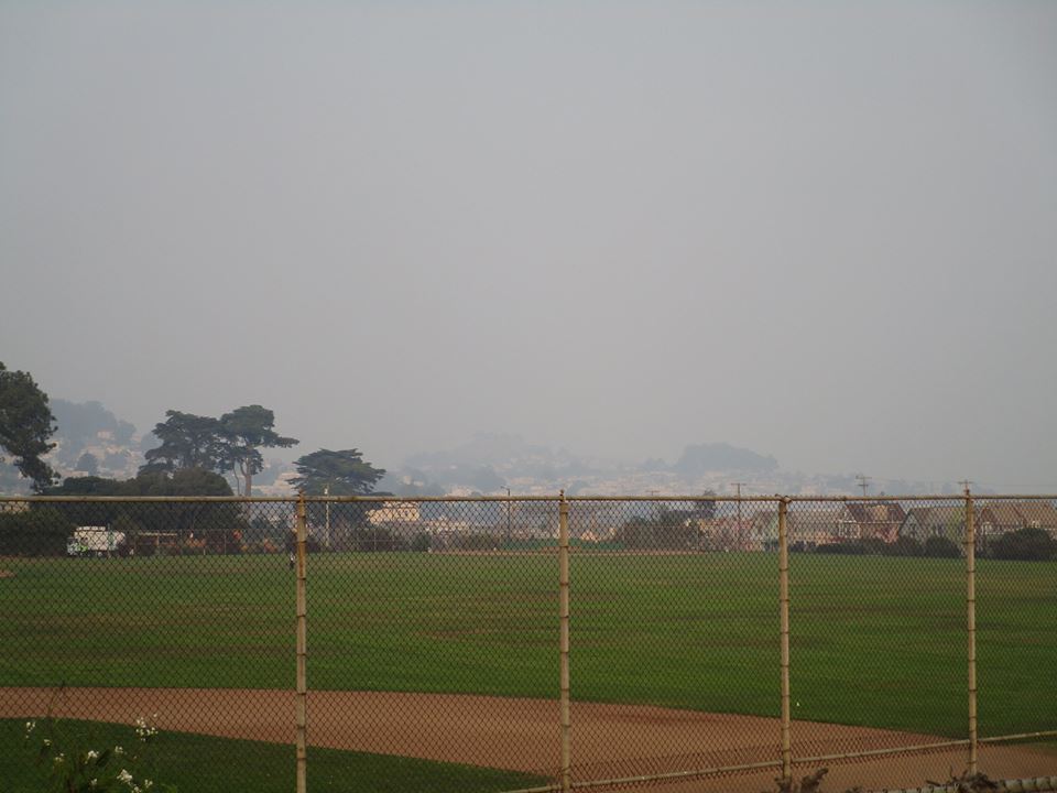 46229024_10217469714481082_9033657060738203648_n