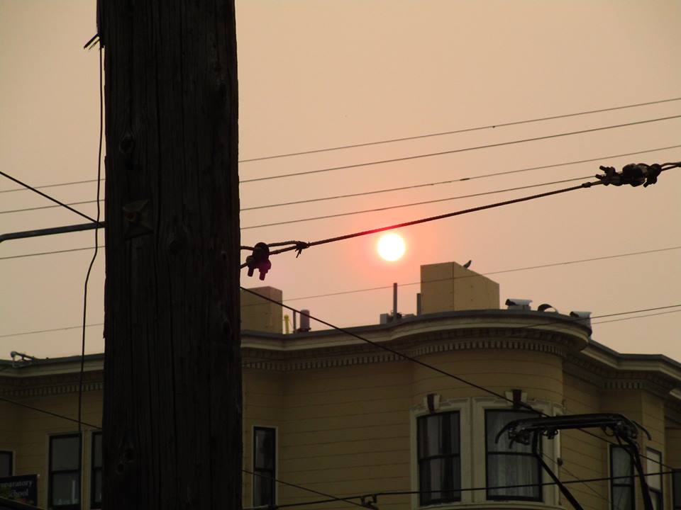 46233232_10217469718281177_4325802519780392960_n