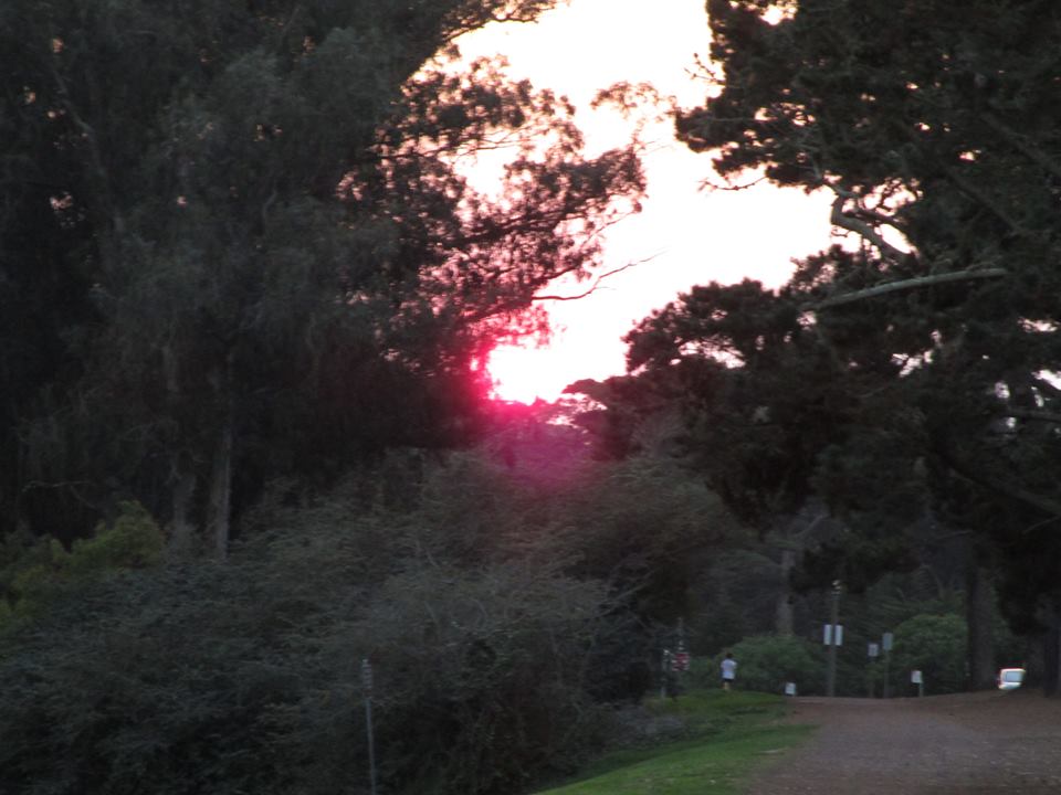 46299371_10217469725961369_1641556283150565376_n