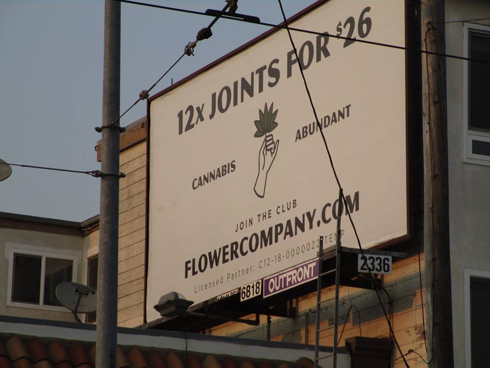 46389021_10217469713401055_2739211024765812736_n