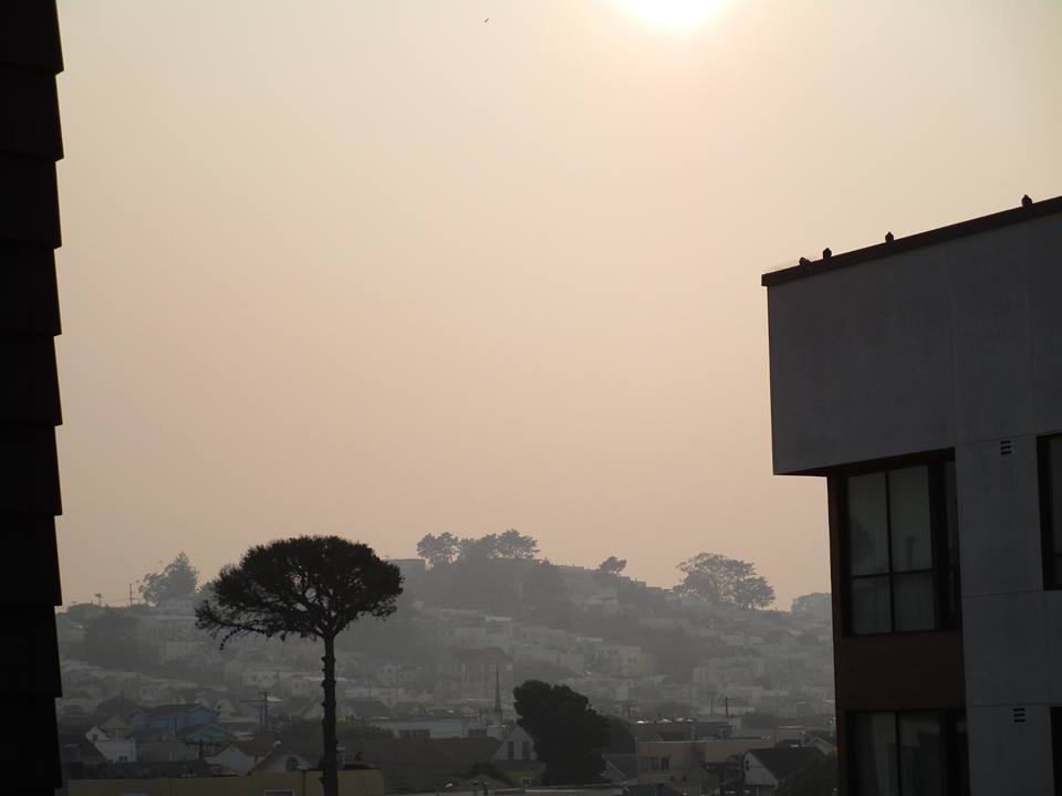 46410845_10217469717681162_7593930297373097984_n