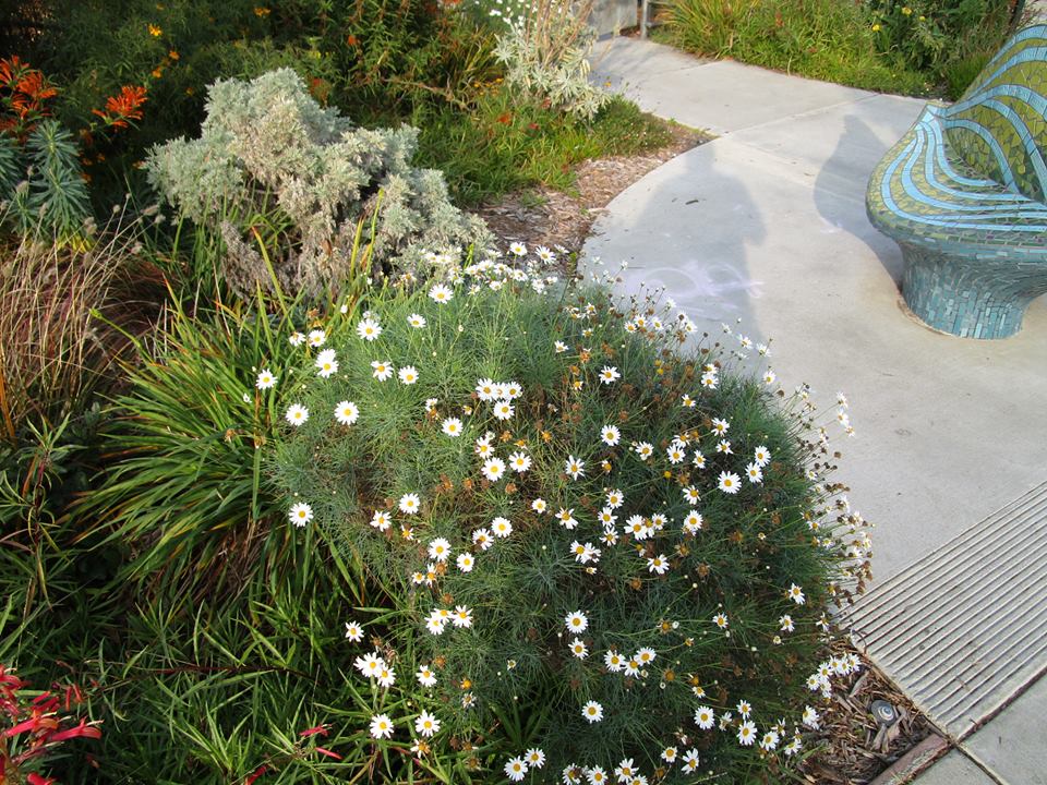 46485815_10217509280110198_3717405172347961344_n