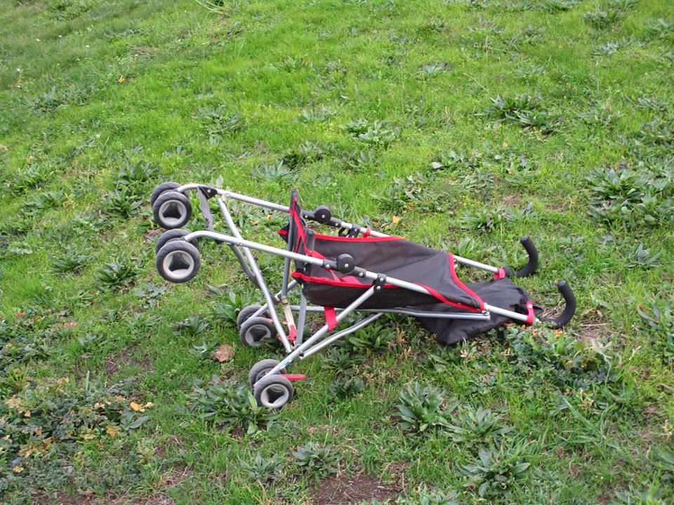 46494674_10217509279310178_4497394627988422656_n