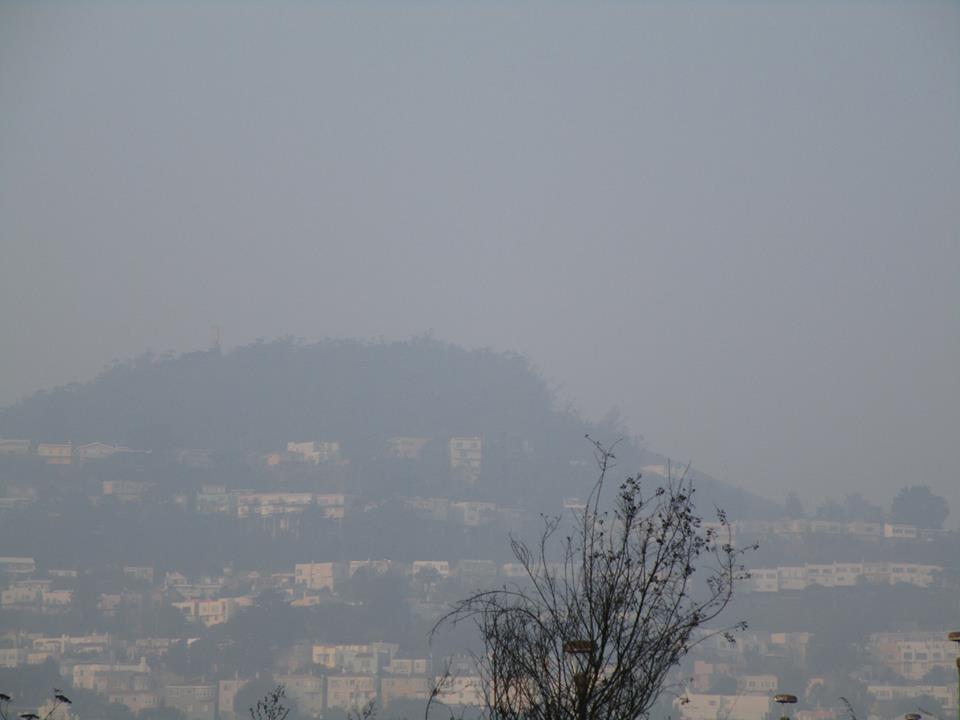 46508731_10217509285270327_4053870822962495488_n