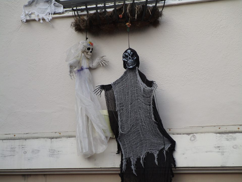 46513348_10217509281990245_2960173893710512128_n