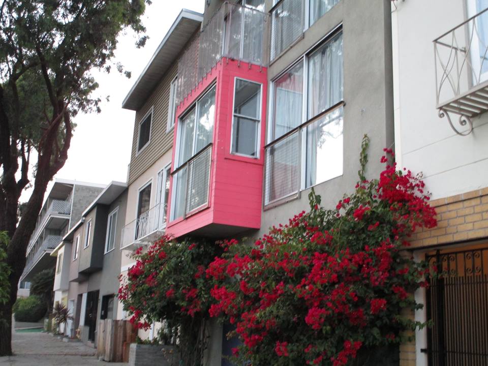 46652185_10217509281390230_7324499340968329216_n