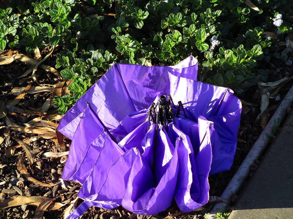 46694886_10217557722201220_8449389707158093824_n