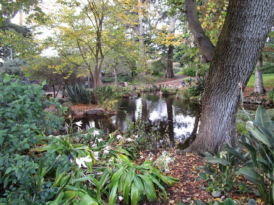 46771501_10217557757682107_4638571439958523904_n