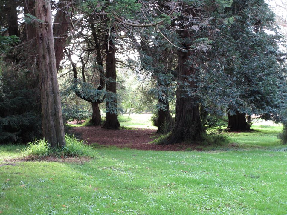 46772794_10217557754282022_3356430406822920192_n